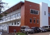 The Infectious Diseases Institute